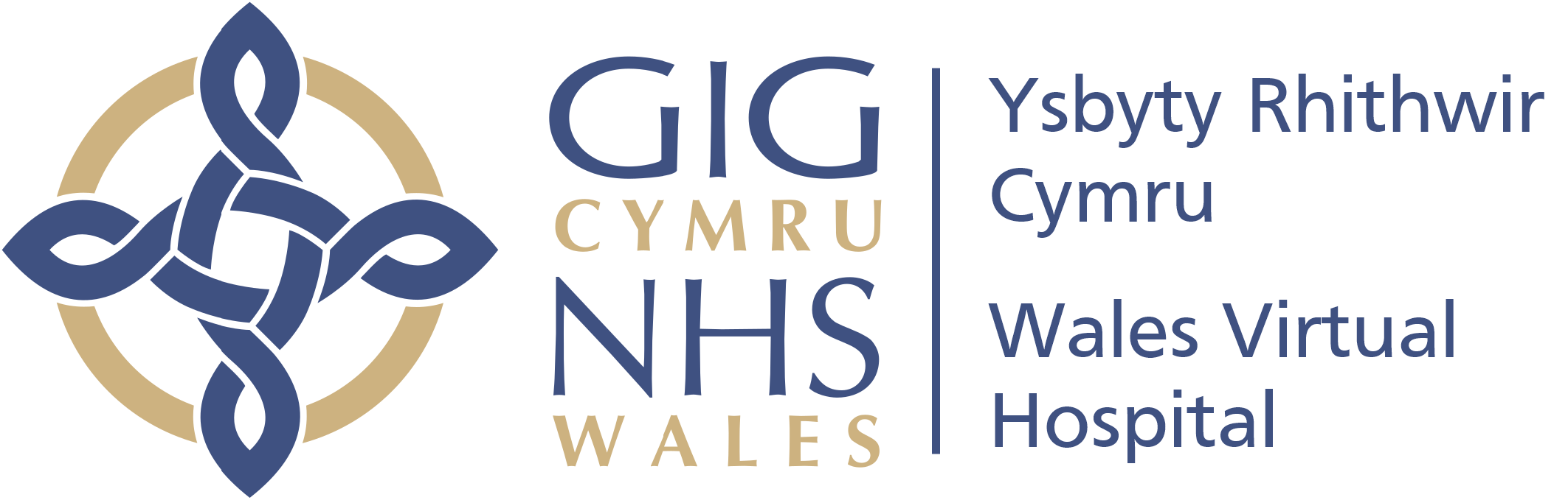 Wales Virtual Hospital